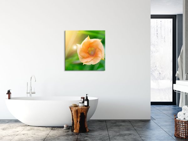 orange Blume im Sonnenlicht, Glasbild Quadratisch Verkauf – Bild 4