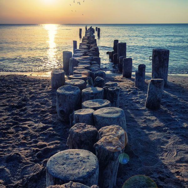 Baumstümpfe am Meer, Glasbild Quadratisch Online-Schn?ppchen – Bild 5