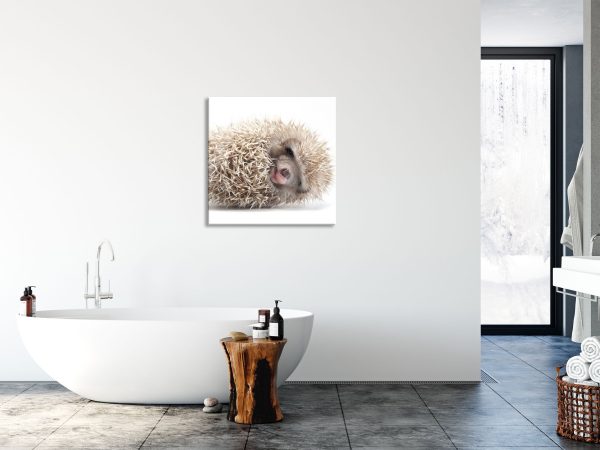 kleiner niedlicher Baby Igel, Glasbild Quadratisch Zu verkaufen – Bild 4