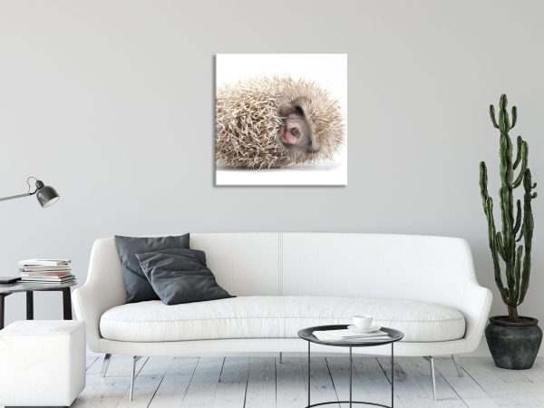 kleiner niedlicher Baby Igel, Glasbild Quadratisch Zu verkaufen – Bild 2