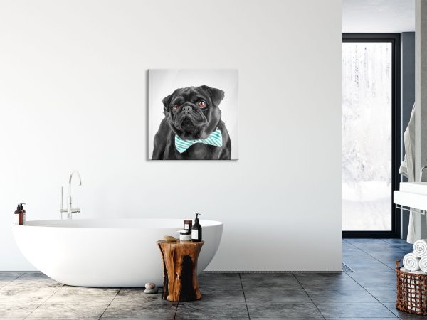 Mops mit lustig gestreifter Fliege, Glasbild Quadratisch Jetzt online – Bild 4