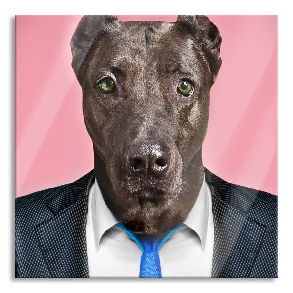 Manager Hund mit Anzug, Glasbild Quadratisch Im Angebot