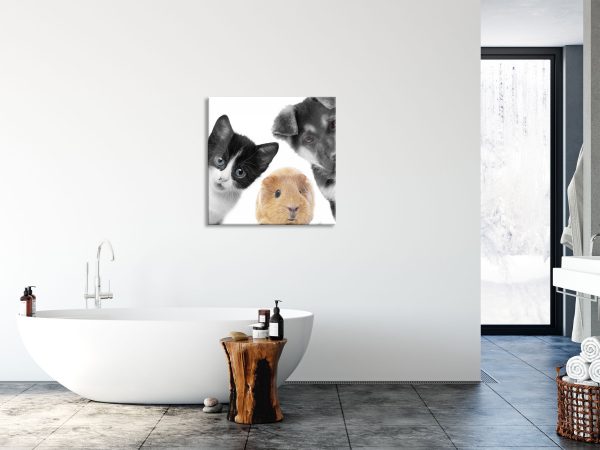 Trio Hund Katze Meerschweinchen, Glasbild Quadratisch Im Angebot – Bild 4