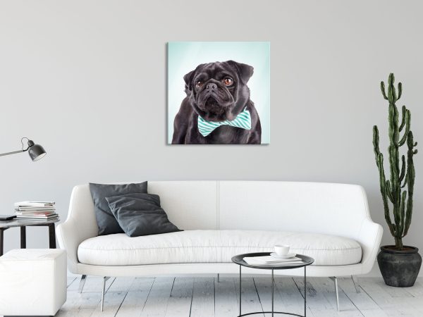 Lustiger Mops mit Fliege, Glasbild Quadratisch Im Angebot – Bild 2