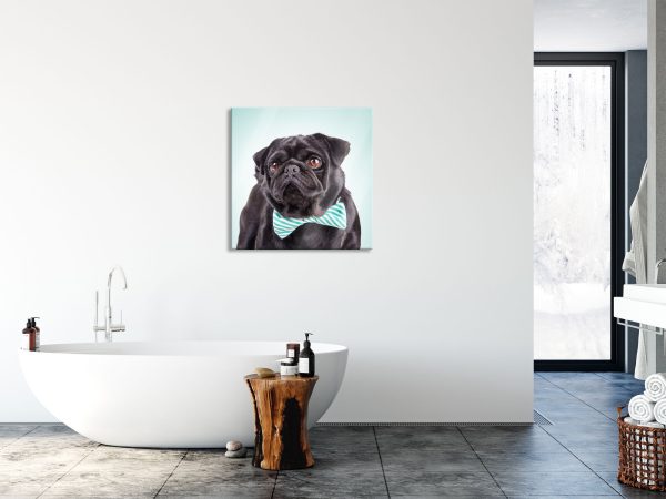 Lustiger Mops mit Fliege, Glasbild Quadratisch Im Angebot – Bild 4