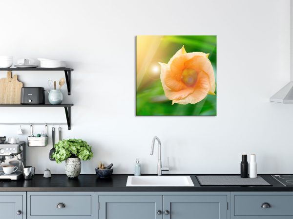 orange Blume im Sonnenlicht, Glasbild Quadratisch Verkauf – Bild 3