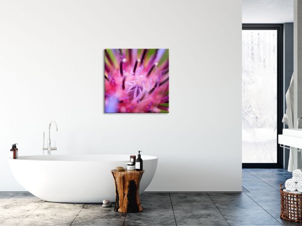 wunderschöne lila Blume im Fokus, Glasbild Quadratisch Online-Schn?ppchen – Bild 4