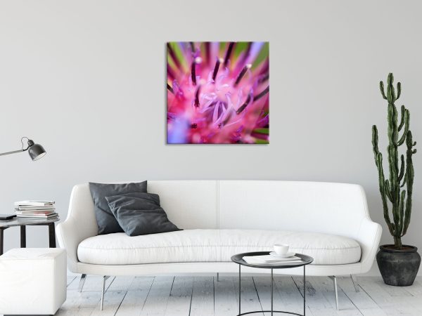 wunderschöne lila Blume im Fokus, Glasbild Quadratisch Online-Schn?ppchen – Bild 2